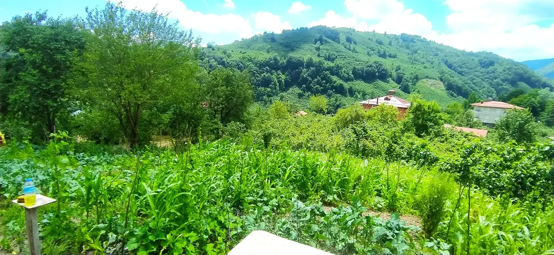 Ohtamış Değirmenyanı Wasserfall — Ordu — küçük resim 4