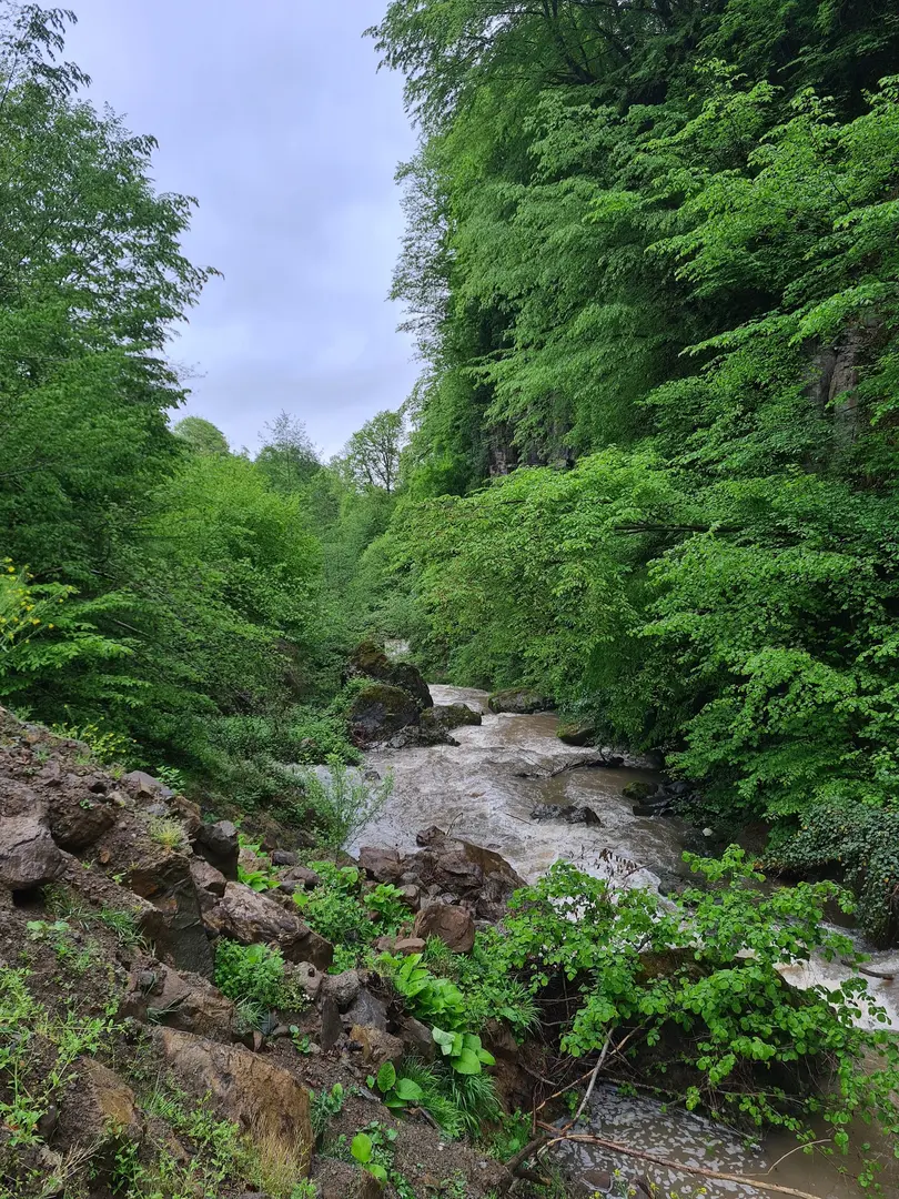 Ohtamış Değirmenyanı Wasserfall — Ordu — küçük resim 5
