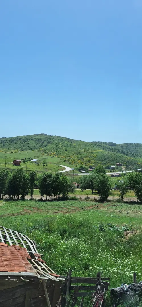 Ordu Korgan Çayırkent Yaylası — Ordu — küçük resim 9
