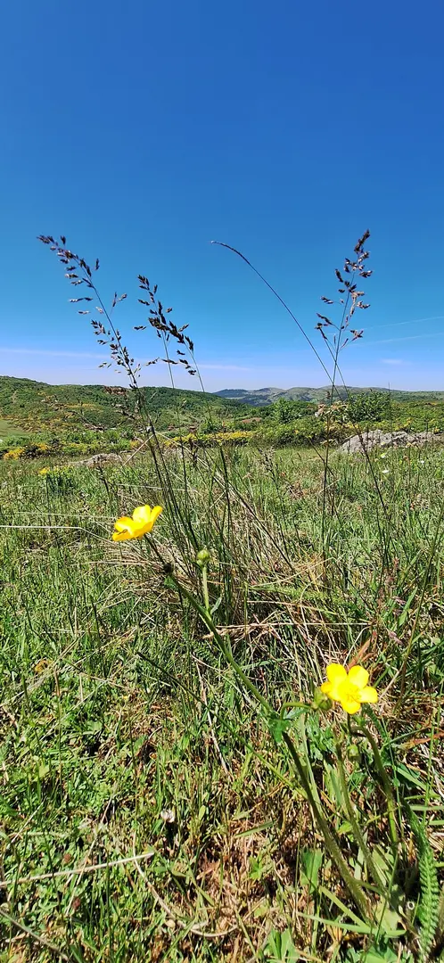 Ordu Korgan Çayırkent Yaylası — Ordu — küçük resim 4