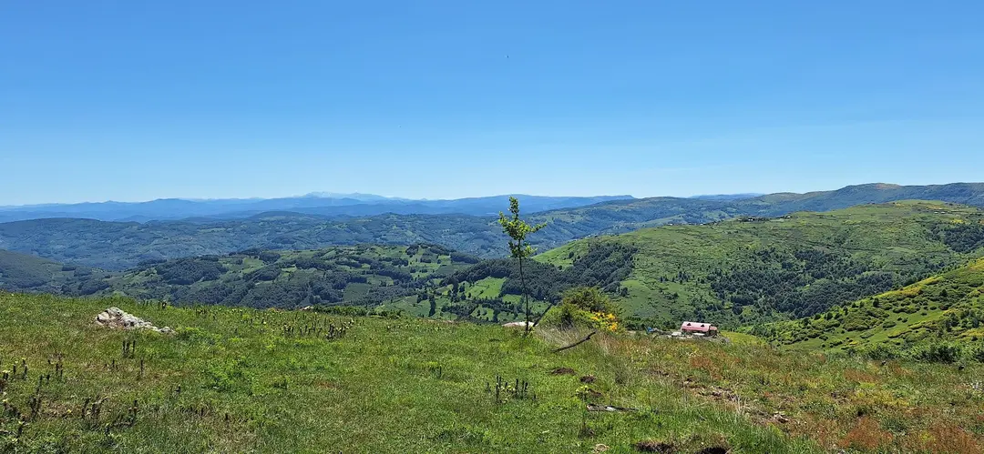 Ordu Korgan Çayırkent Yaylası — Ordu — küçük resim 6