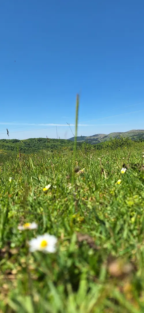 Ordu Korgan Çayırkent Yaylası — Ordu — küçük resim 8