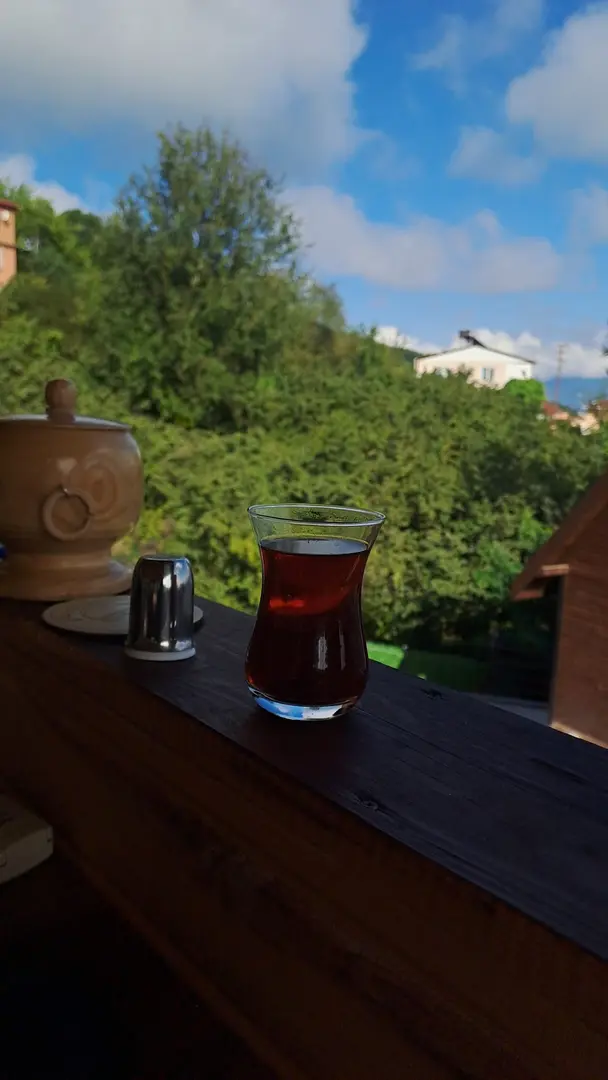 BOZTEPE KÜME EVLERİ BUNGOLOVORDU — Ordu — küçük resim 8