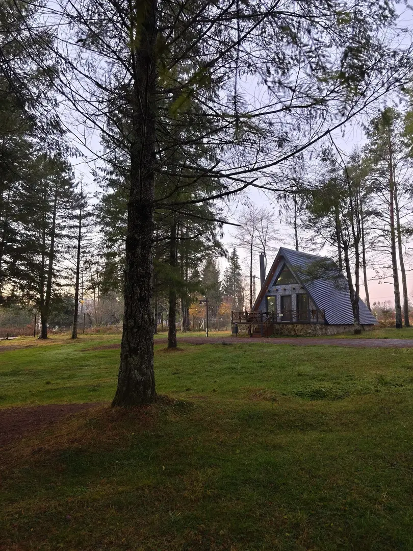 Sayacabaşı Bungalov — Ordu — küçük resim 8