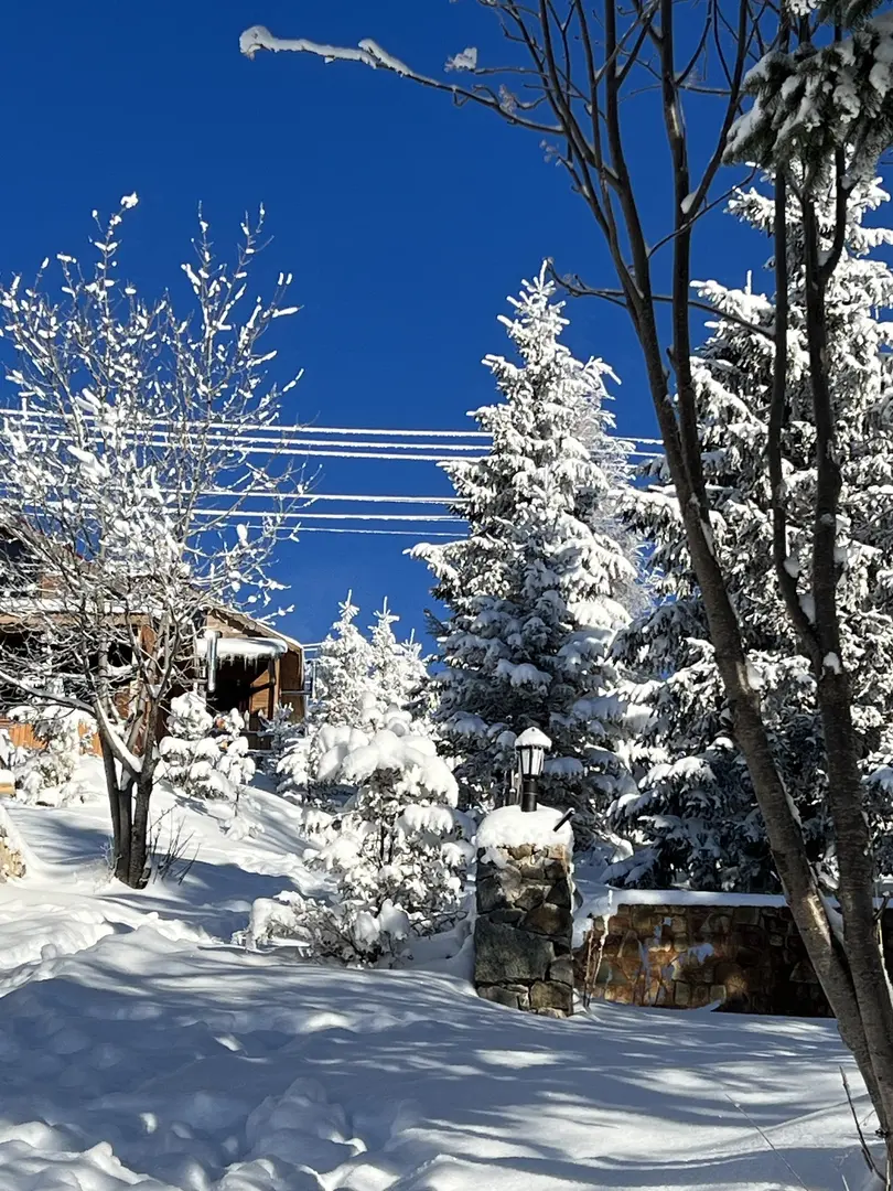 Ny Çambaşı Bungalow — Ordu — küçük resim 4