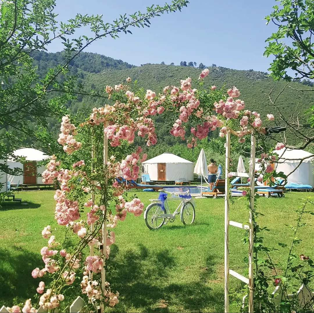 Yol Glamping Indkvartering og Retreat Center — Muğla — küçük resim 3