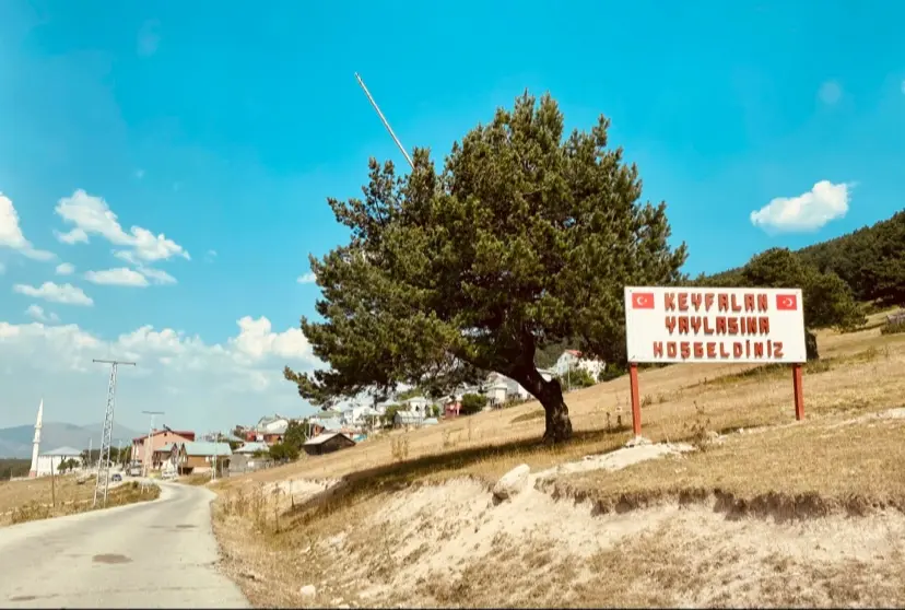 Keyfalan Yaylası — Ordu — küçük resim 5