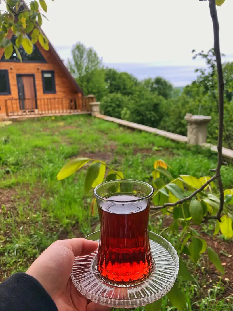 Kayabaşı Bungalov — Ordu — küçük resim 8