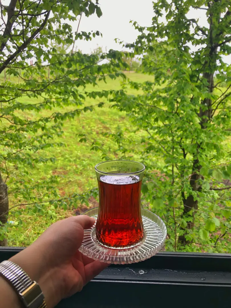 Kayabaşı Bungalov — Ordu — küçük resim 3