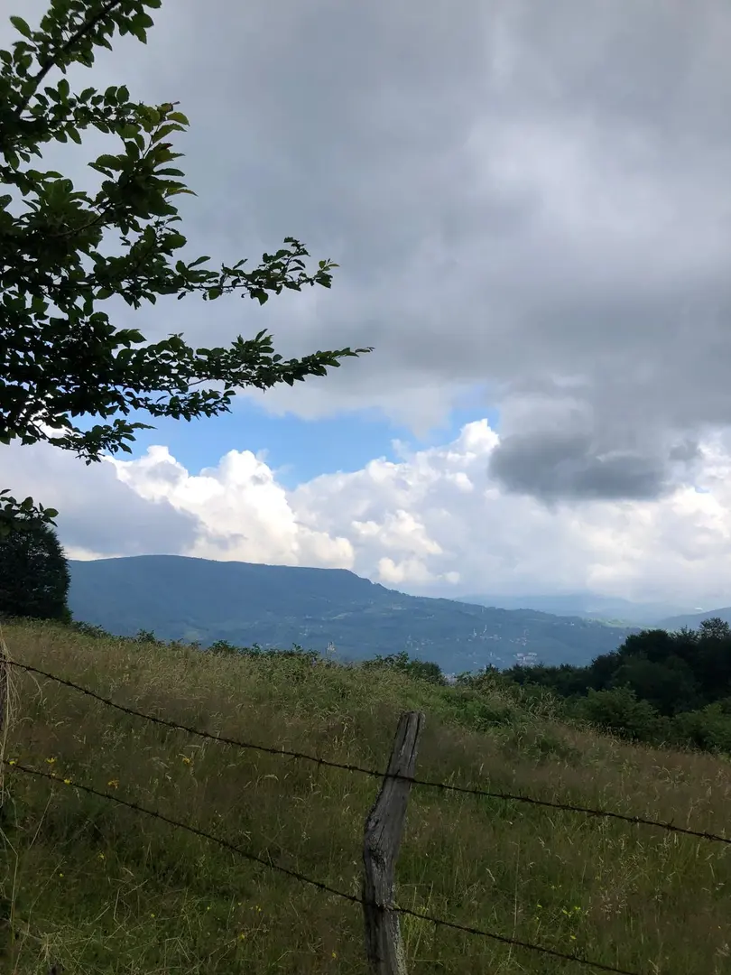 Kayabaşı Bungalov — Ordu — küçük resim 9
