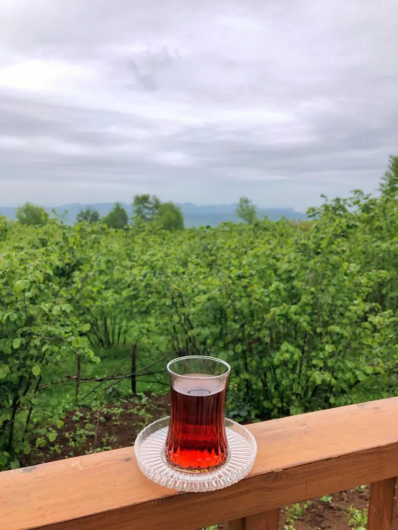 Kayabaşı Bungalov — Ordu — küçük resim 5