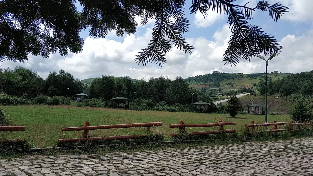 Aybasti kent orman — Ordu — küçük resim 8