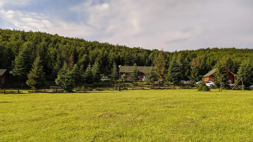 Aybasti kent orman — Ordu — küçük resim 4
