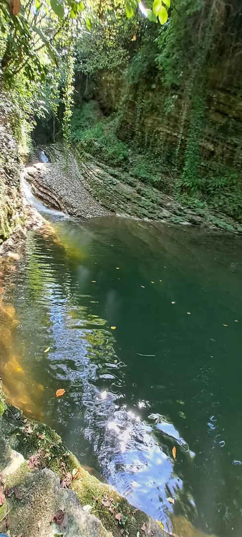 Cinek Gölü