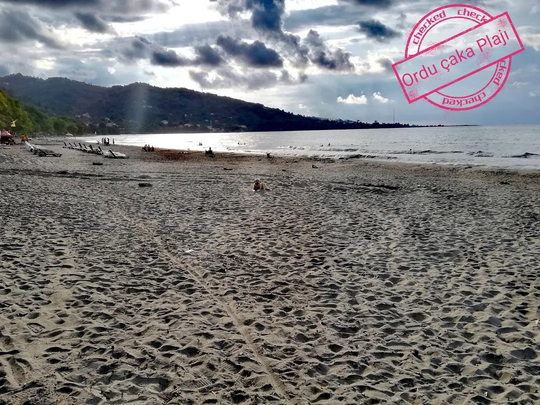 Beyazkum Beach — Ordu — küçük resim 5