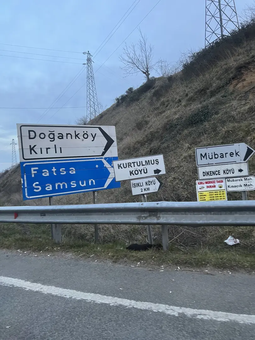 Dogan köy kampı