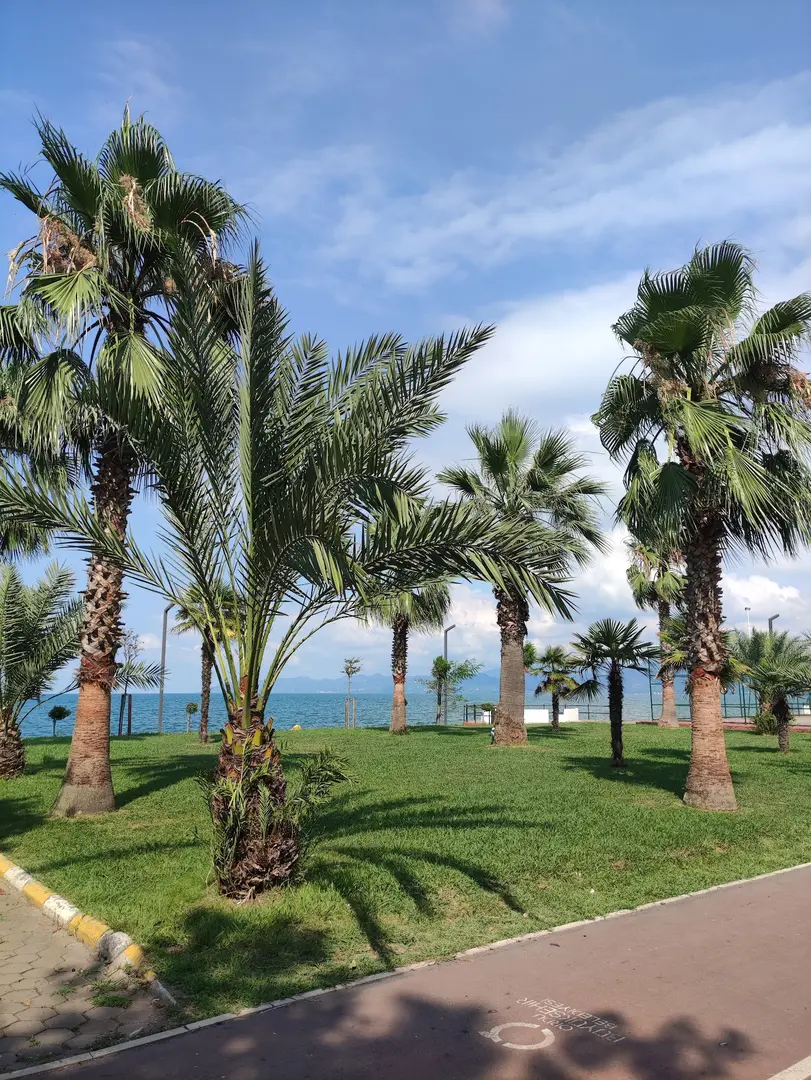 Fatsa Beach — Ordu — küçük resim 9