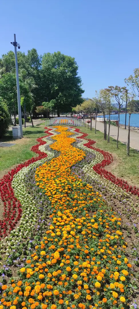Fatsa Belediyesi Parkı — Ordu — küçük resim 7