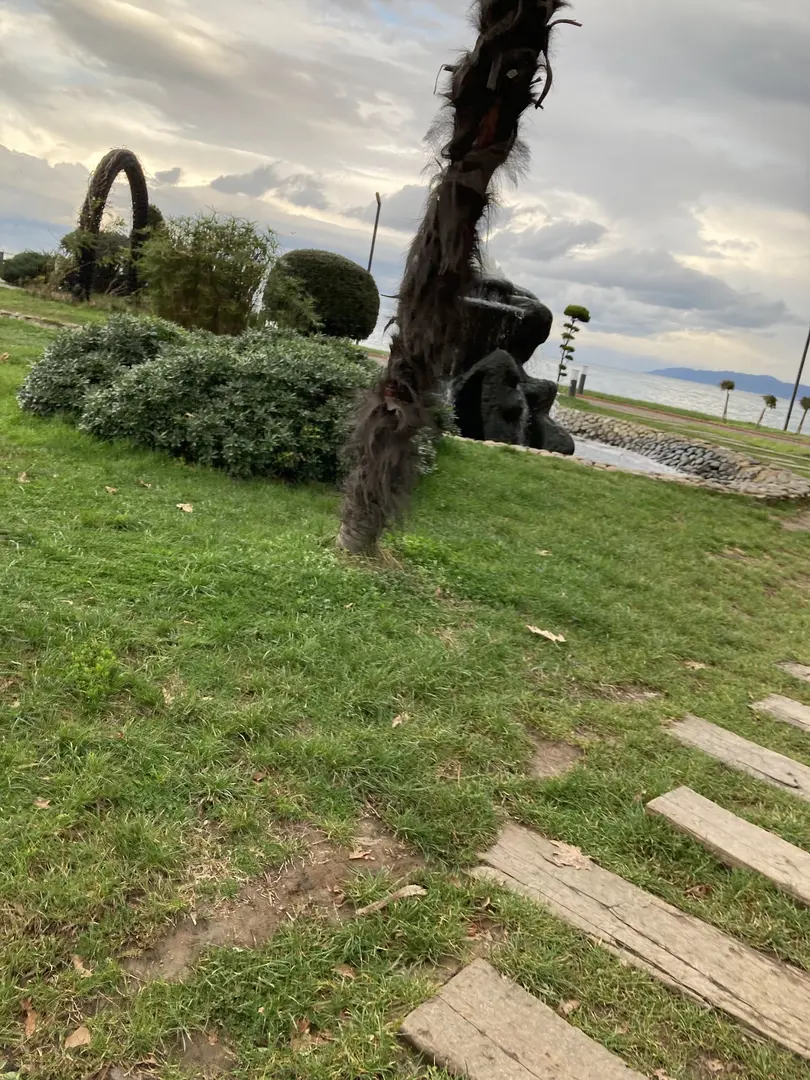 Fatsa Belediyesi Parkı — Ordu — küçük resim 9