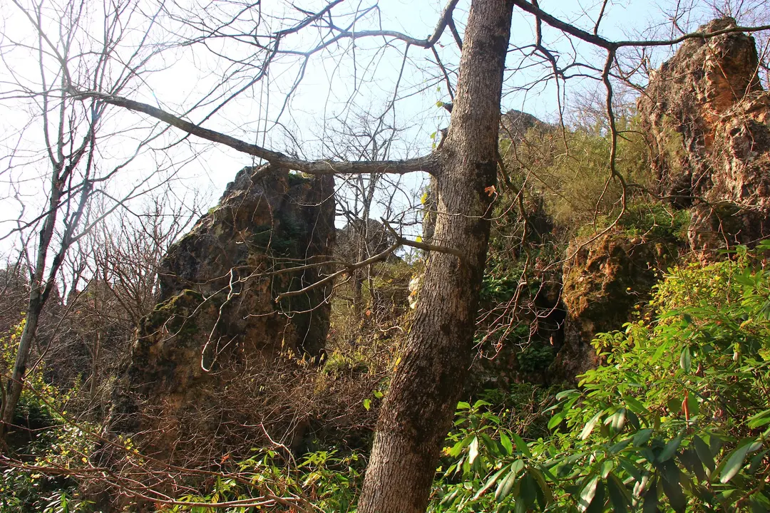 Yedi Kapı Mağarası — Ordu — küçük resim 6