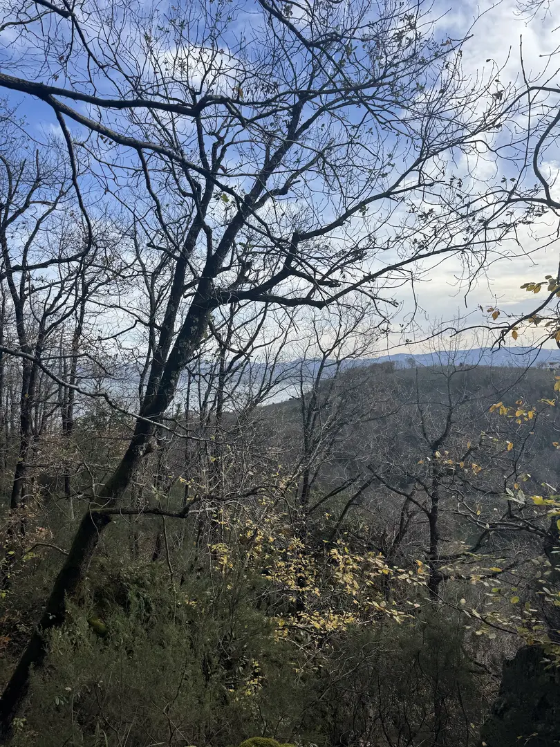 Yedi Kapı Mağarası — Ordu — küçük resim 5
