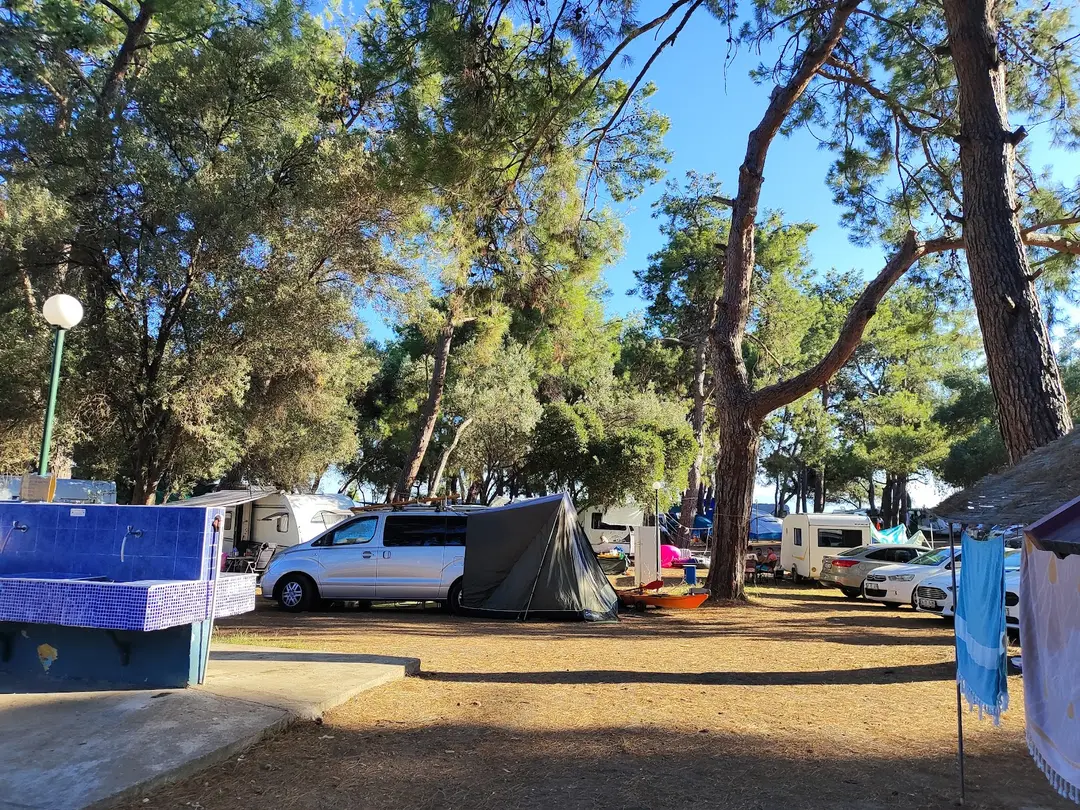 Ücretsiz Kamp Alanı — İzmir — küçük resim 3