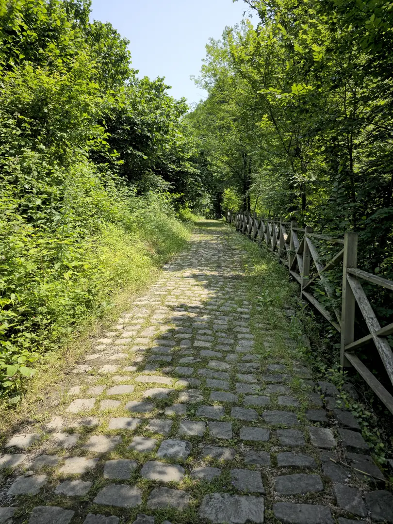 ÇAMAŞ Canyon — Ordu — küçük resim 8