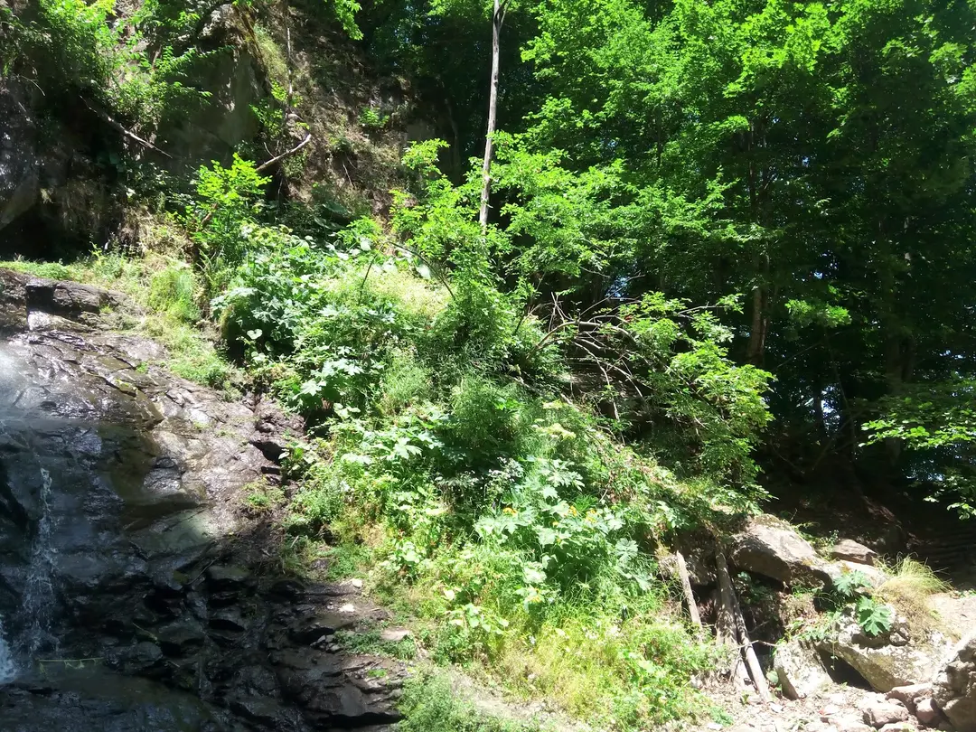 Uzundere Şelalesi /AYBASTI/ORDU — Ordu — küçük resim 6