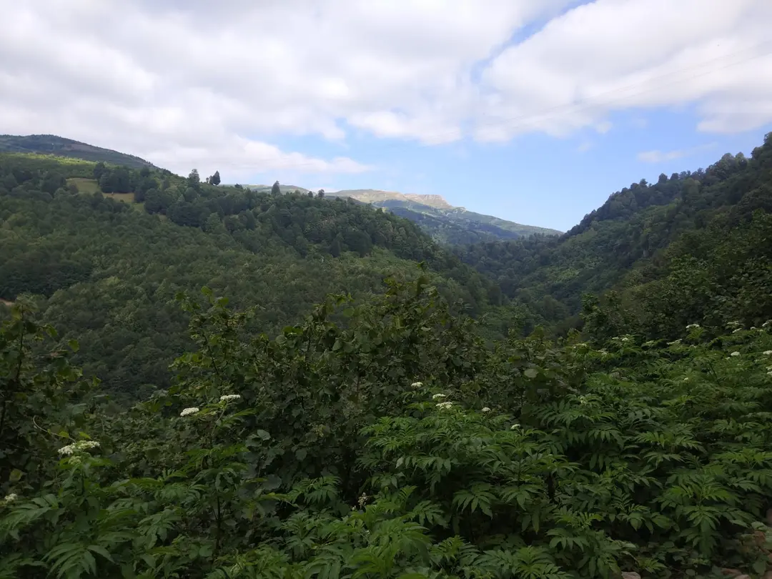 Uzundere Şelalesi /AYBASTI/ORDU — Ordu — küçük resim 5