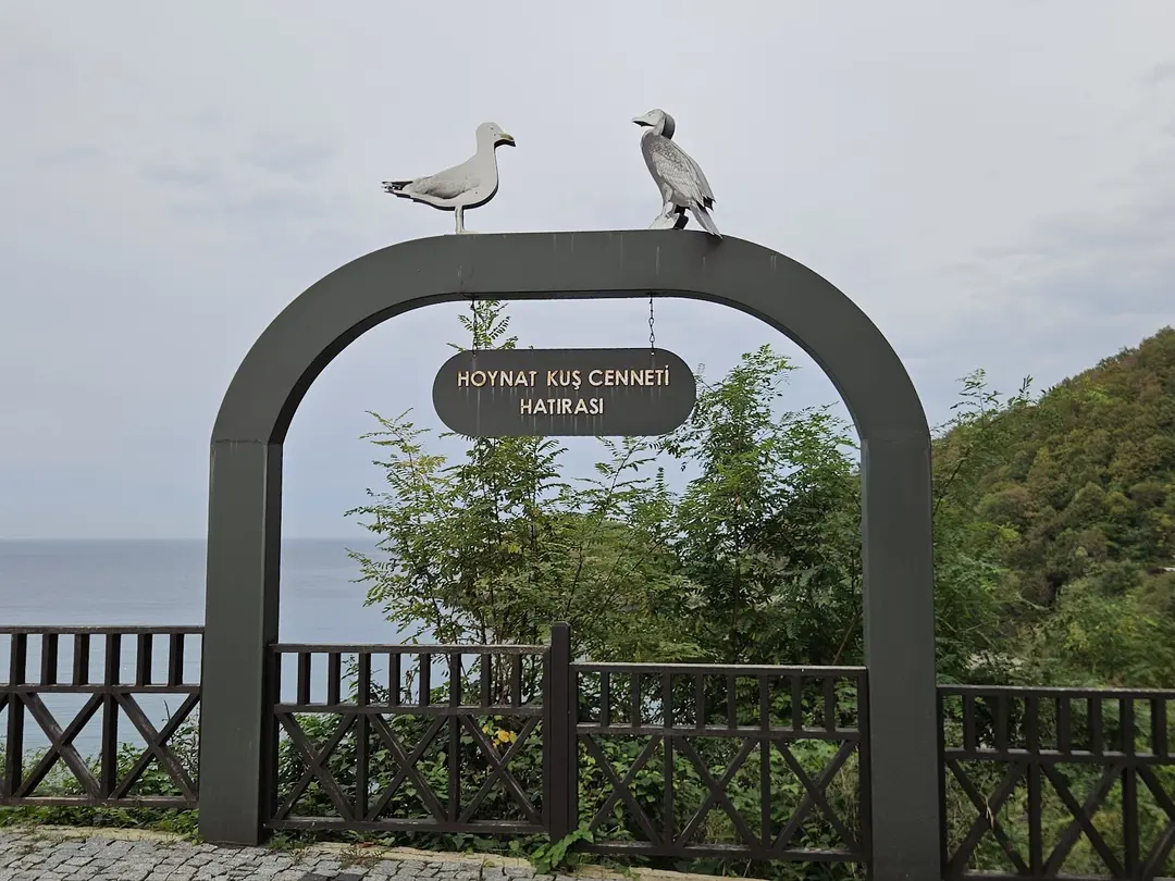 Hoynat Island Bird Paradise — Ordu — küçük resim 6