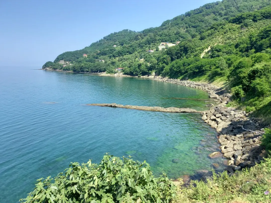 Hoynat Island Bird Paradise — Ordu — küçük resim 2