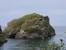 Hoynat Adası Kuş Cenneti