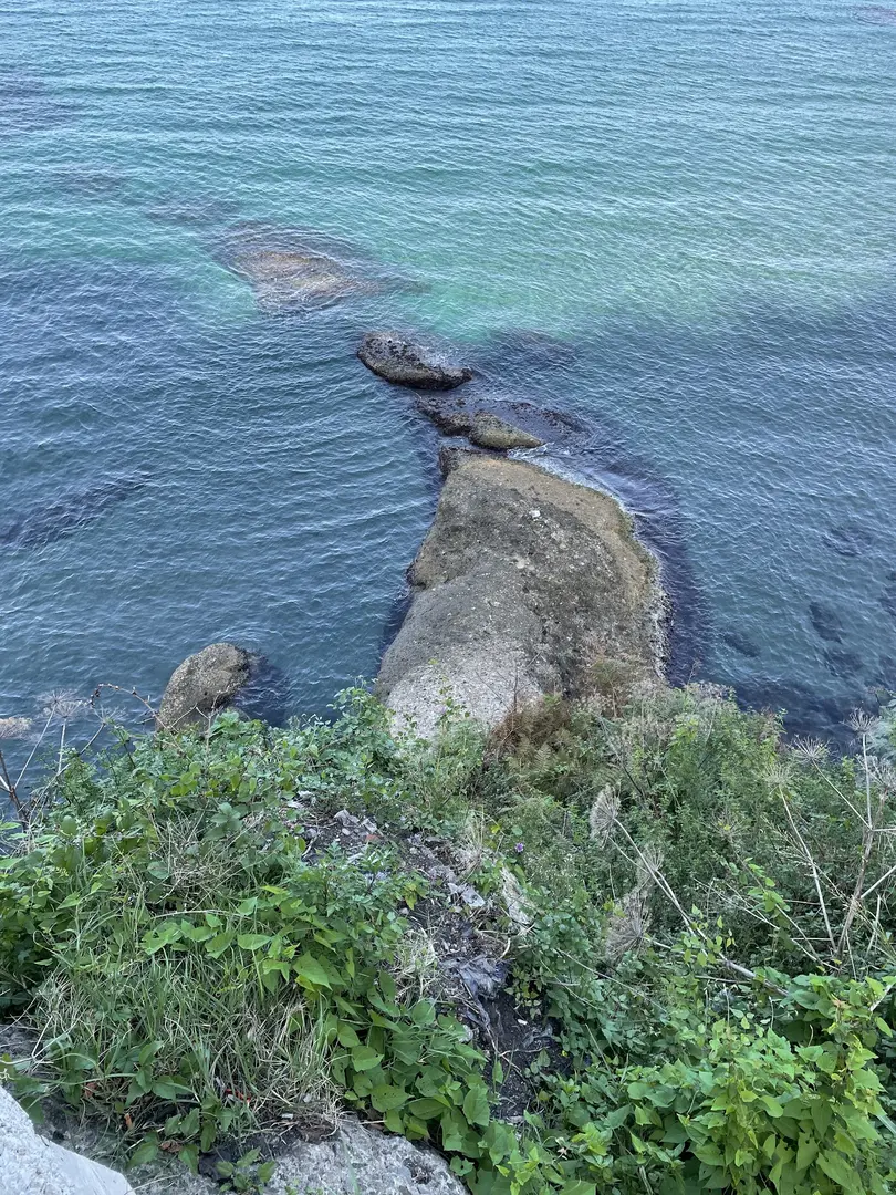 Hoynat Island Bird Paradise — Ordu — küçük resim 7