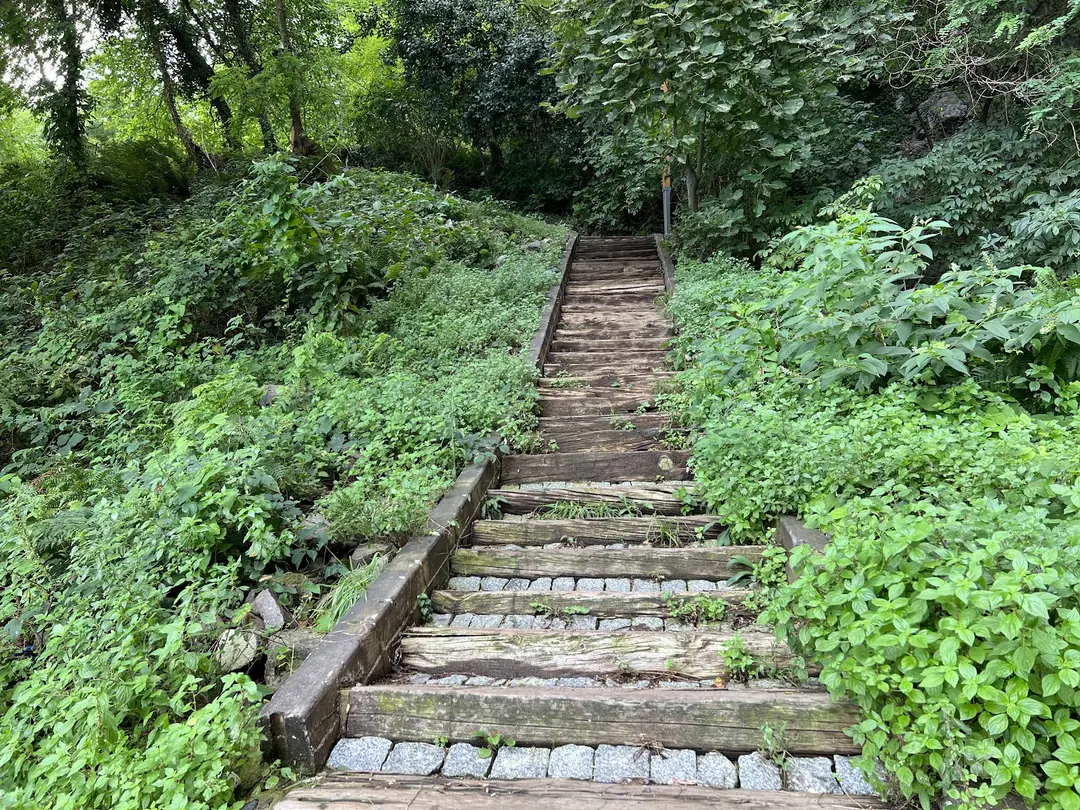 Hoynat Island Bird Paradise — Ordu — küçük resim 4