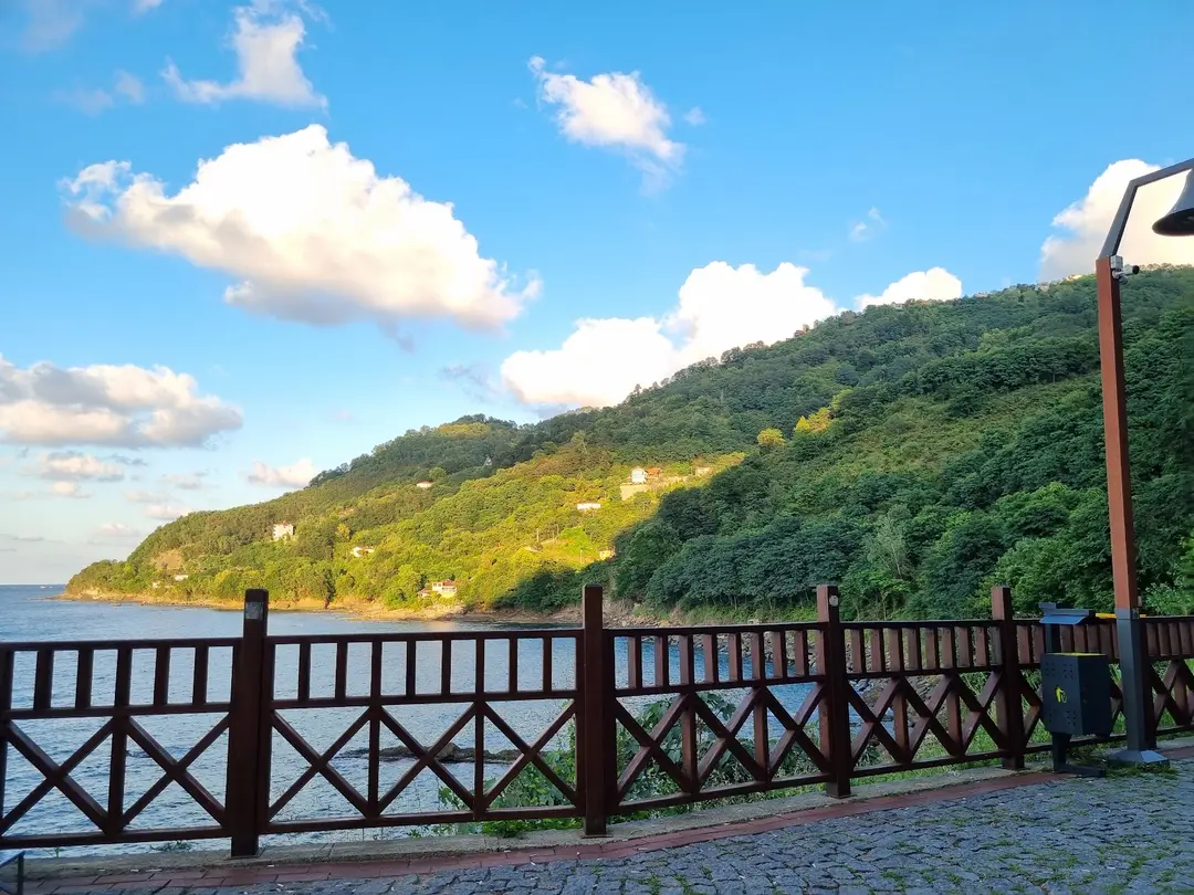 Hoynat Island Bird Paradise — Ordu — küçük resim 9
