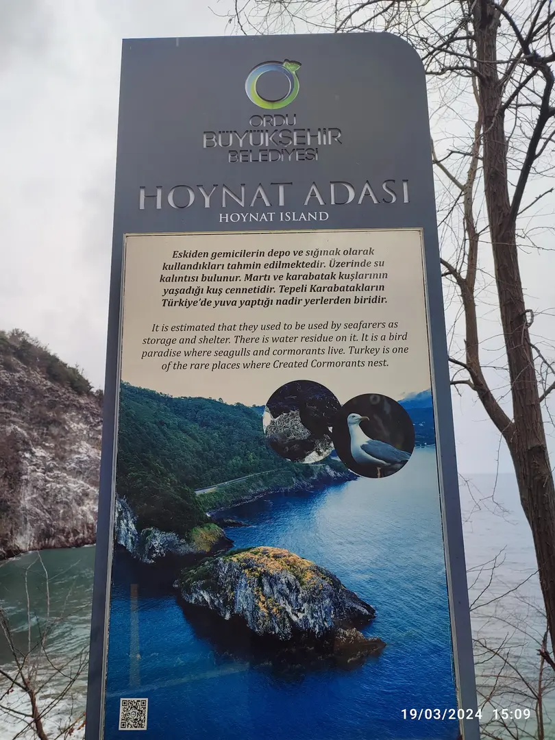 Hoynat Island Bird Paradise — Ordu — küçük resim 8