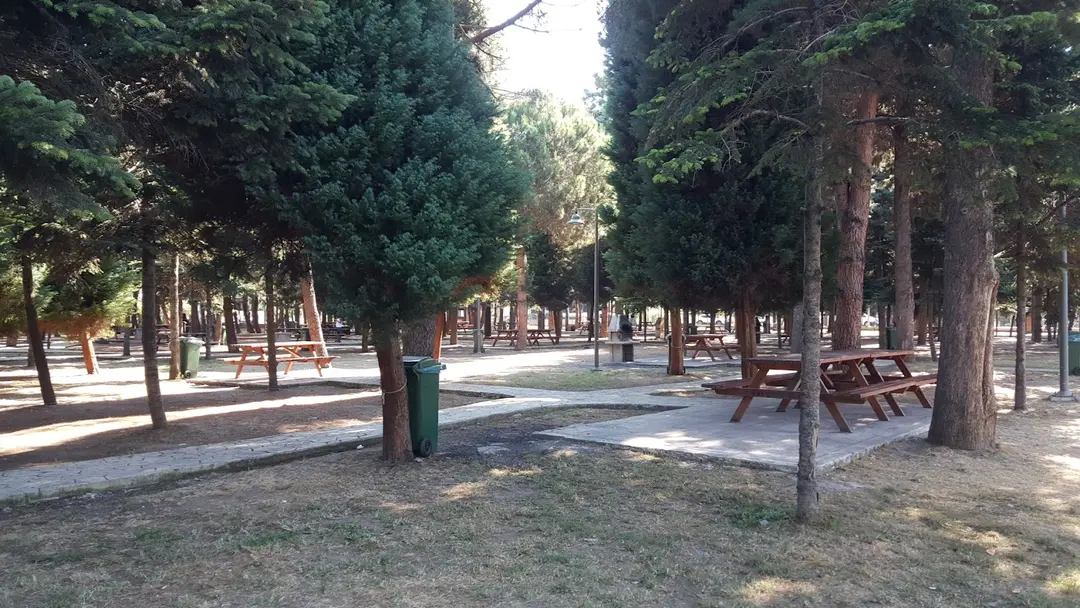 Ordu Mesire Alanı — Ordu — küçük resim 3
