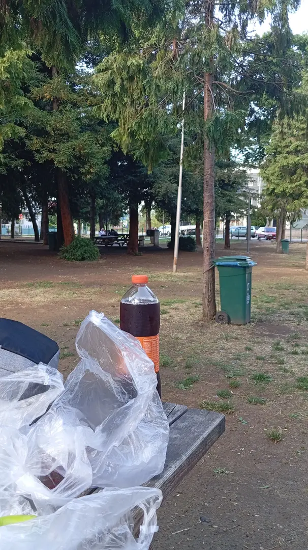 Ordu Mesire Alanı — Ordu — küçük resim 6