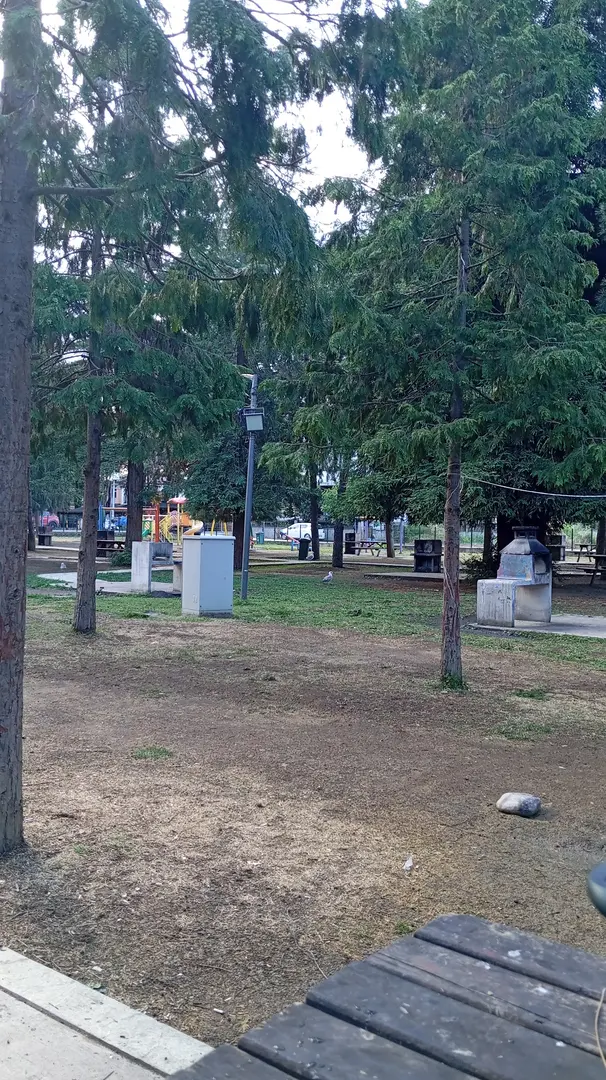 Ordu Mesire Alanı — Ordu — küçük resim 4