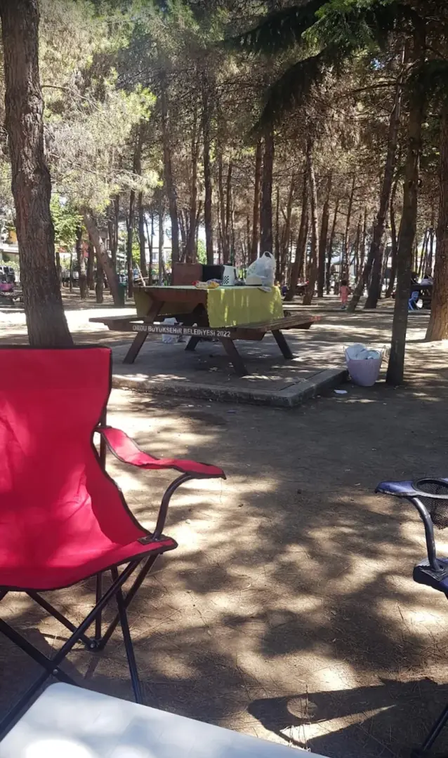 Ordu Mesire Alanı — Ordu — küçük resim 2