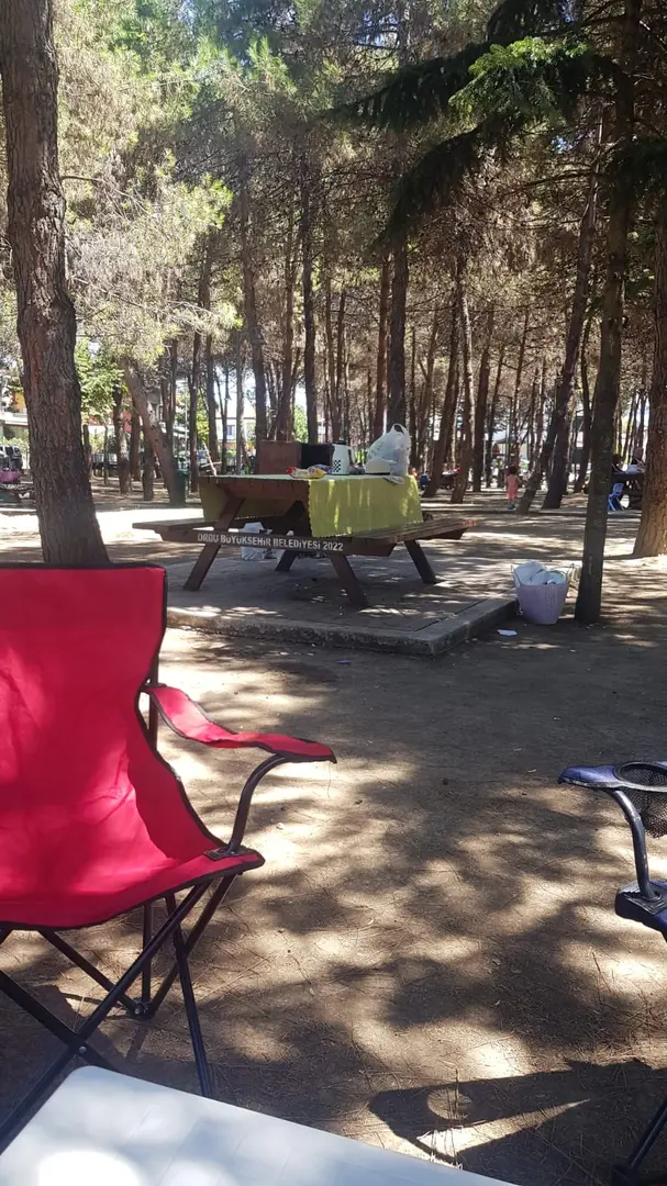 Ordu Mesire Alanı — Ordu — küçük resim 9