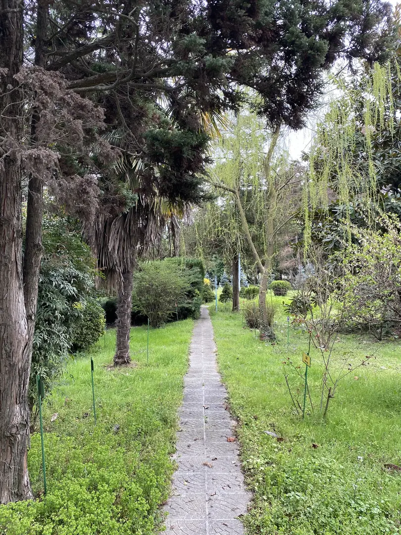 Ordu Orman Isletme Mudurlugu