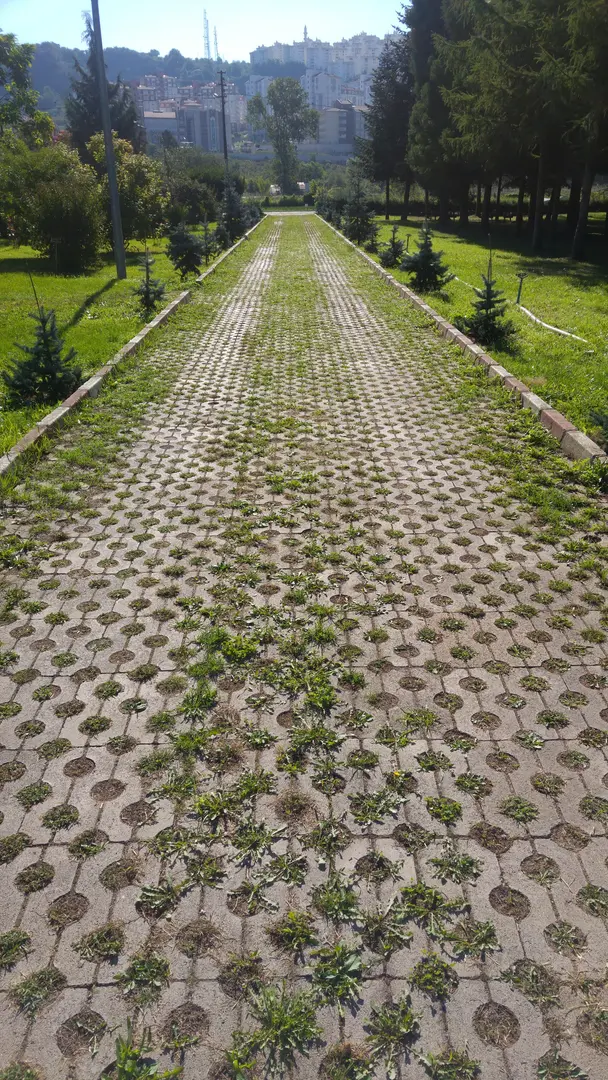Ordu Forest Management Directorate — Ordu — küçük resim 4