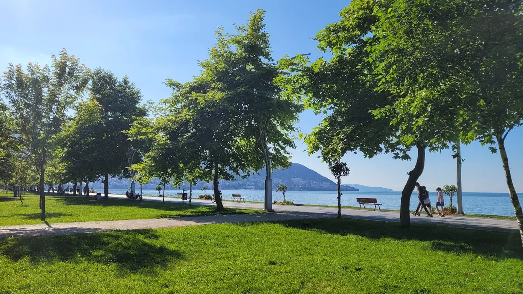 Tayfun Gürsoy Parkı — Ordu — küçük resim 7