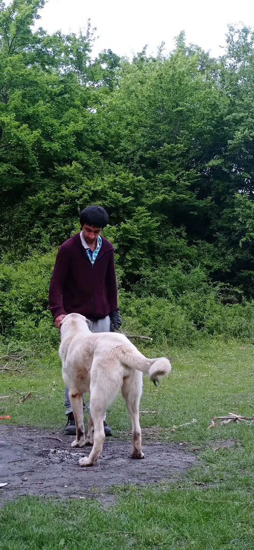 Miko Camping — Samsun — küçük resim 5
