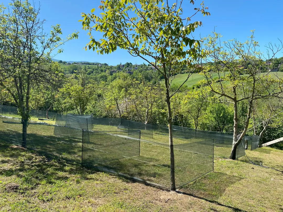Amazon Forest Workshop — Samsun — küçük resim 4