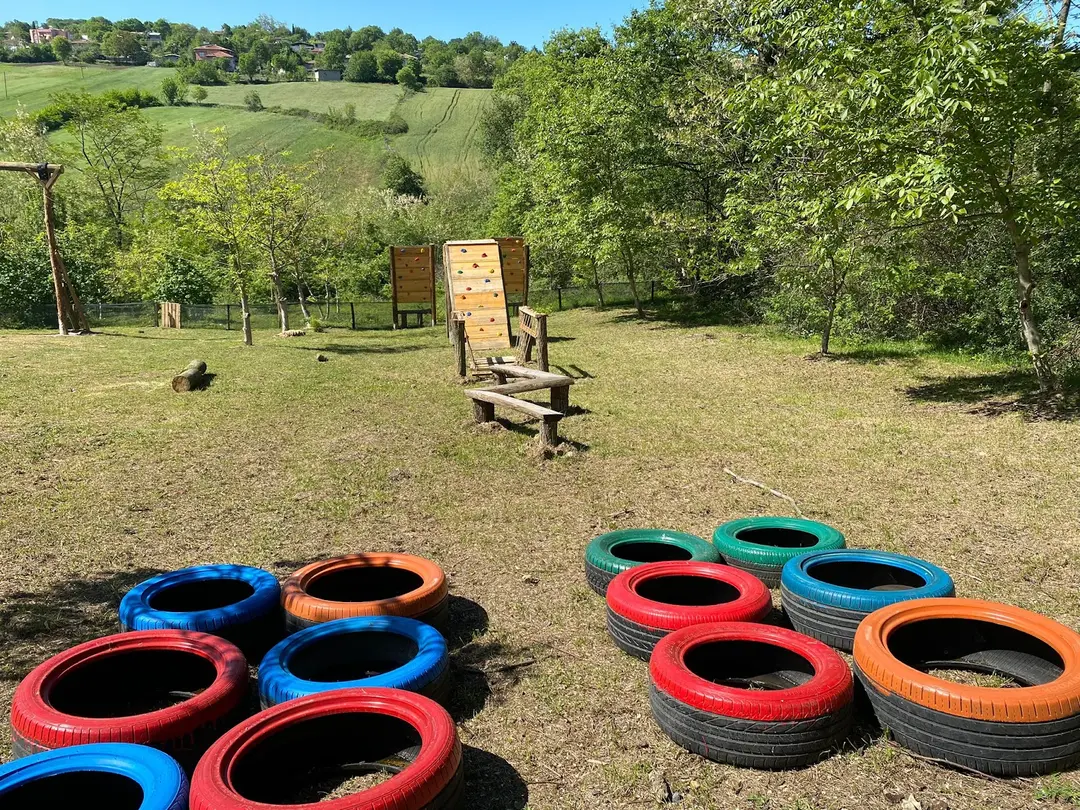 Amazon Forest Workshop — Samsun — küçük resim 2