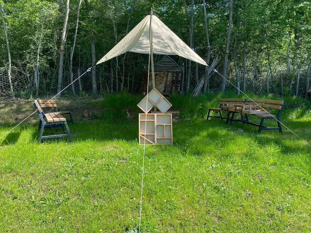 Amazon Forest Workshop — Samsun — küçük resim 3