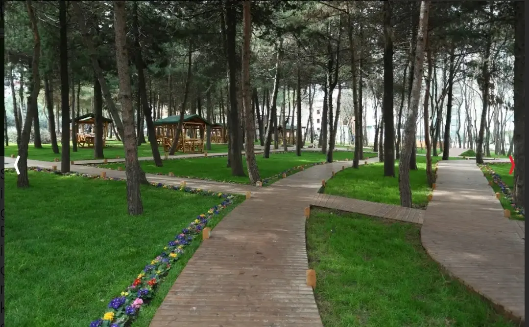 Meşe Orman Park