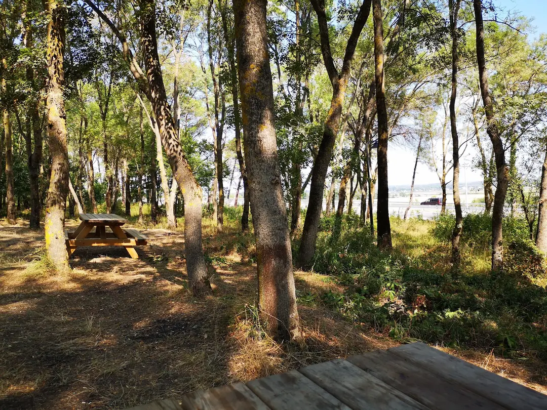 Sarıgazel Tabiat Parkı — Samsun — küçük resim 3